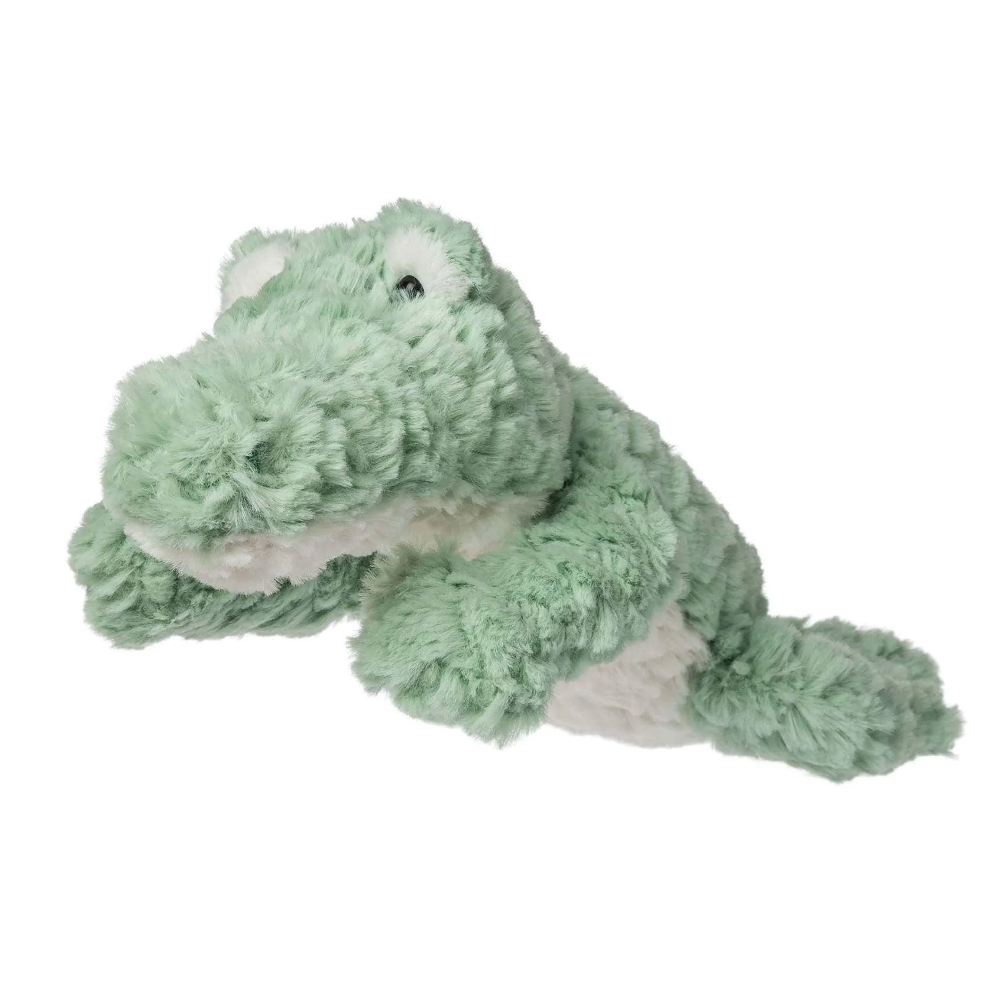 Alligator - Image 2