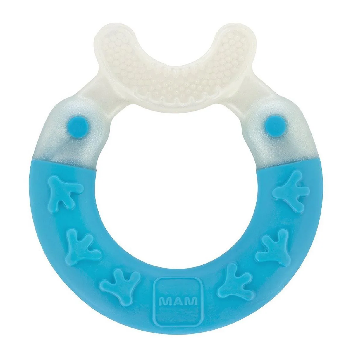 Anneau Dentition Brossage