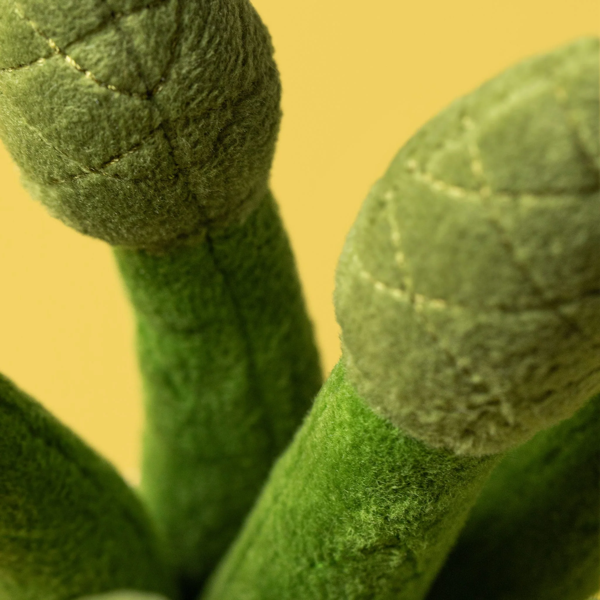 Asperges Amusantes - Image 3