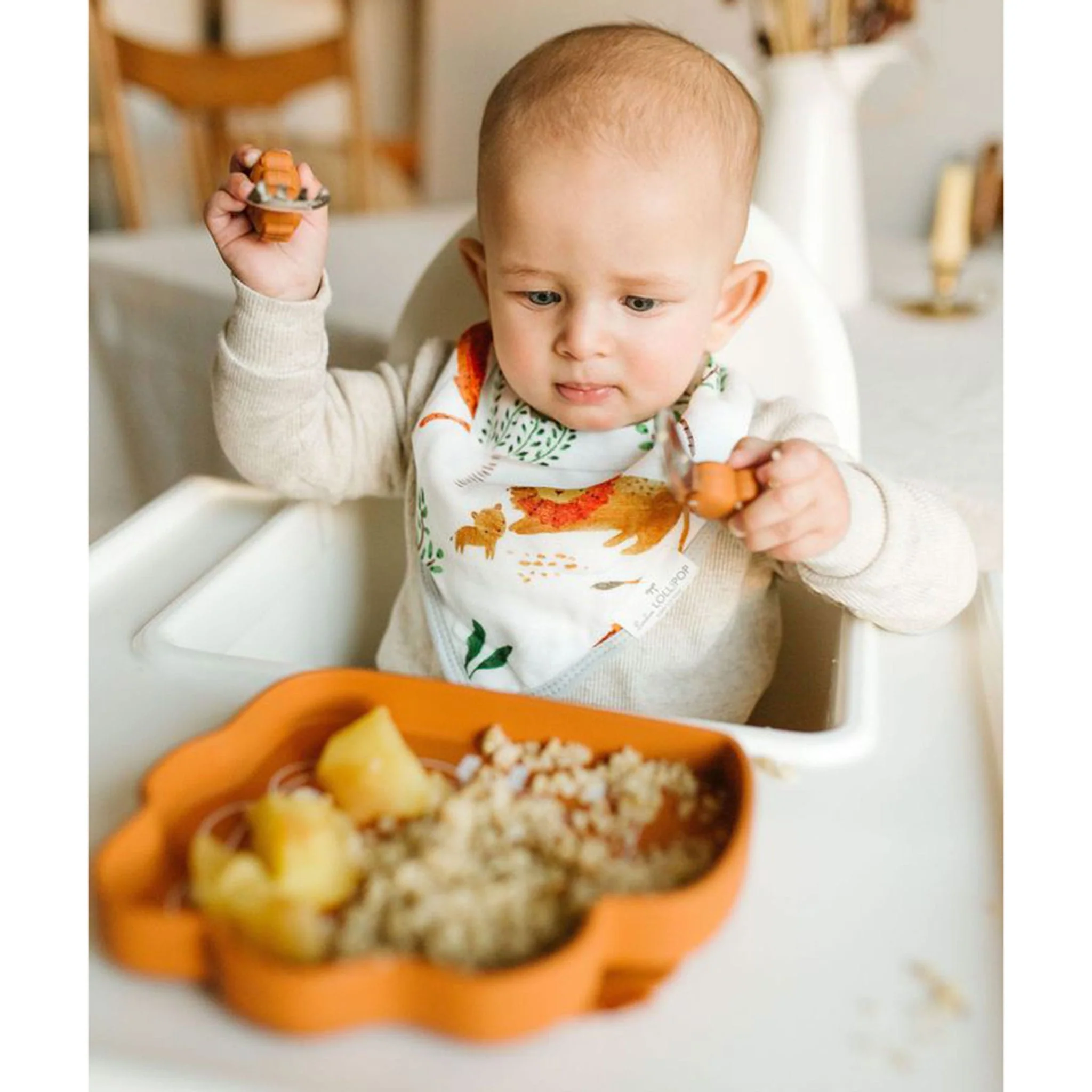 Assiette en Silicone - Lion - Image 3