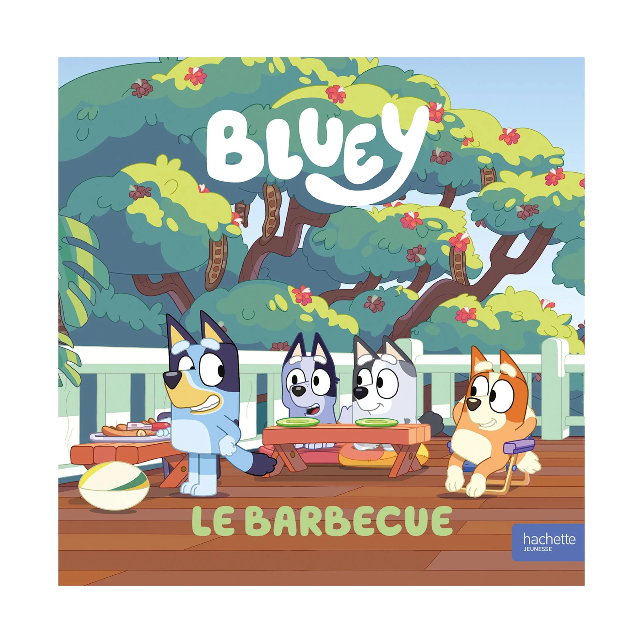 Bluey - Le Barbecue