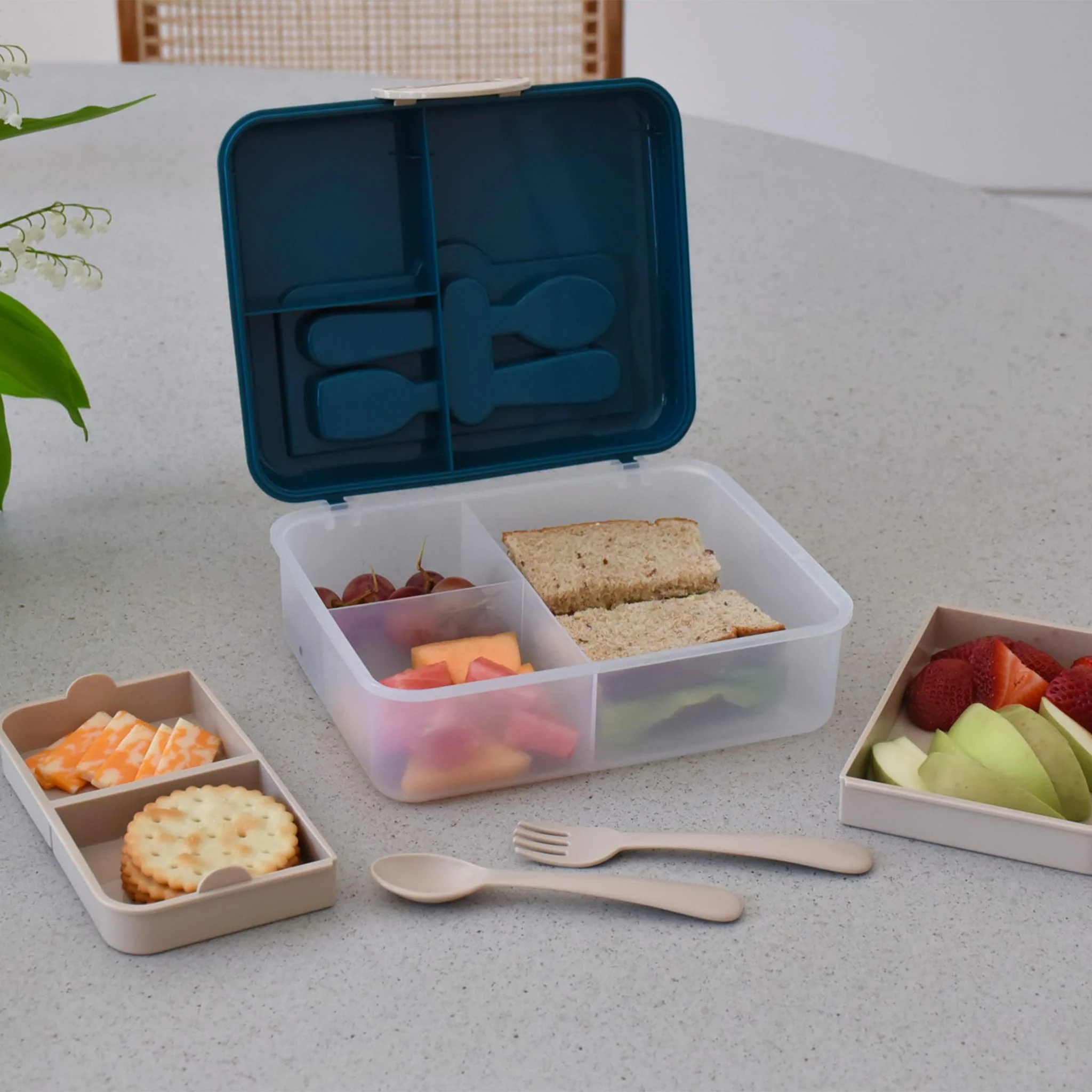 Boîte Repas - Bleu Foncé - Image 4