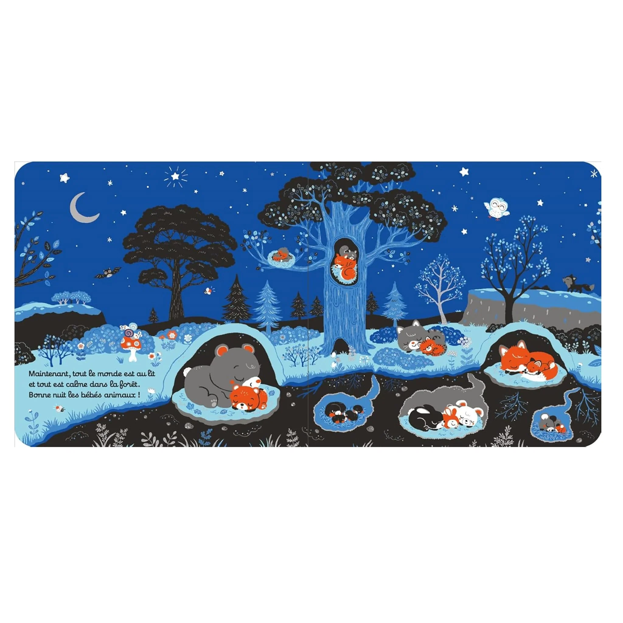 Bonsoir Les Bébés Animaux - Image 2