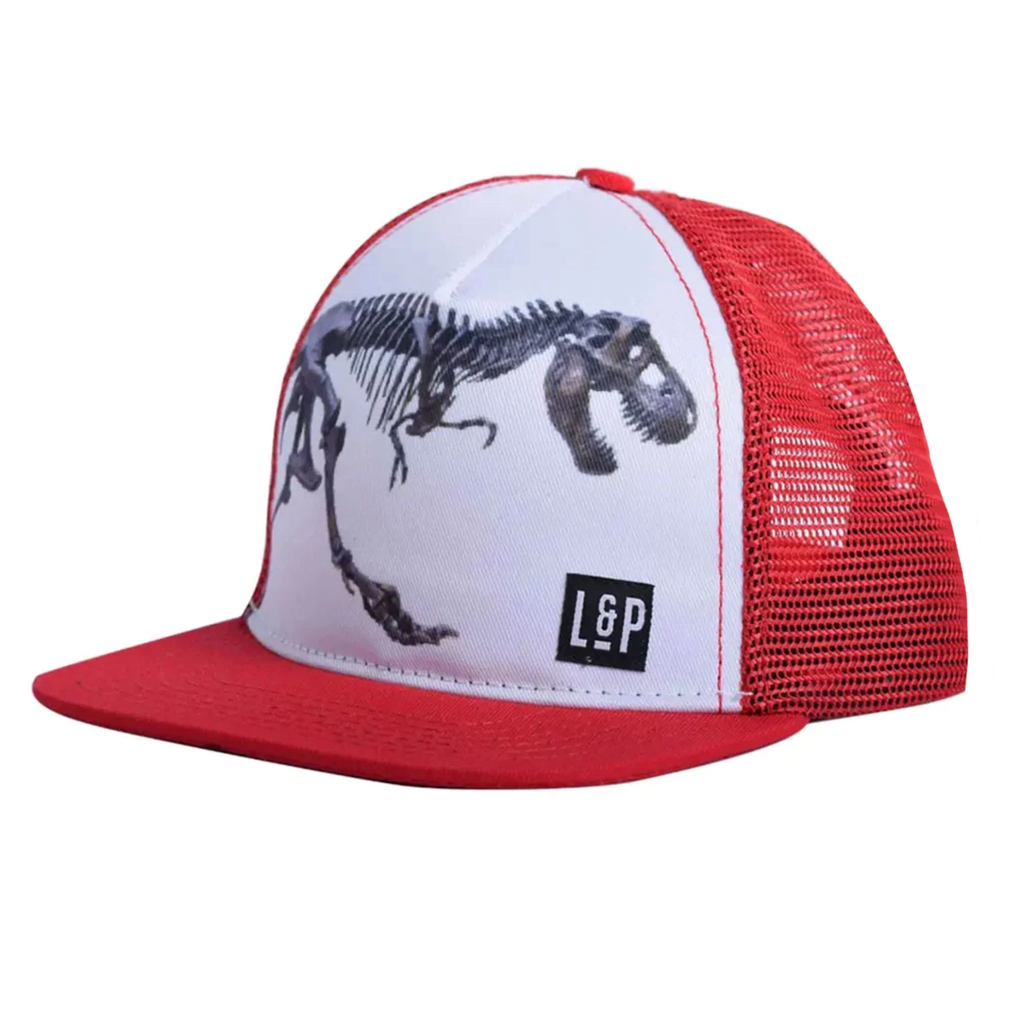 Casquette Dino Series 0-24m - Image 3