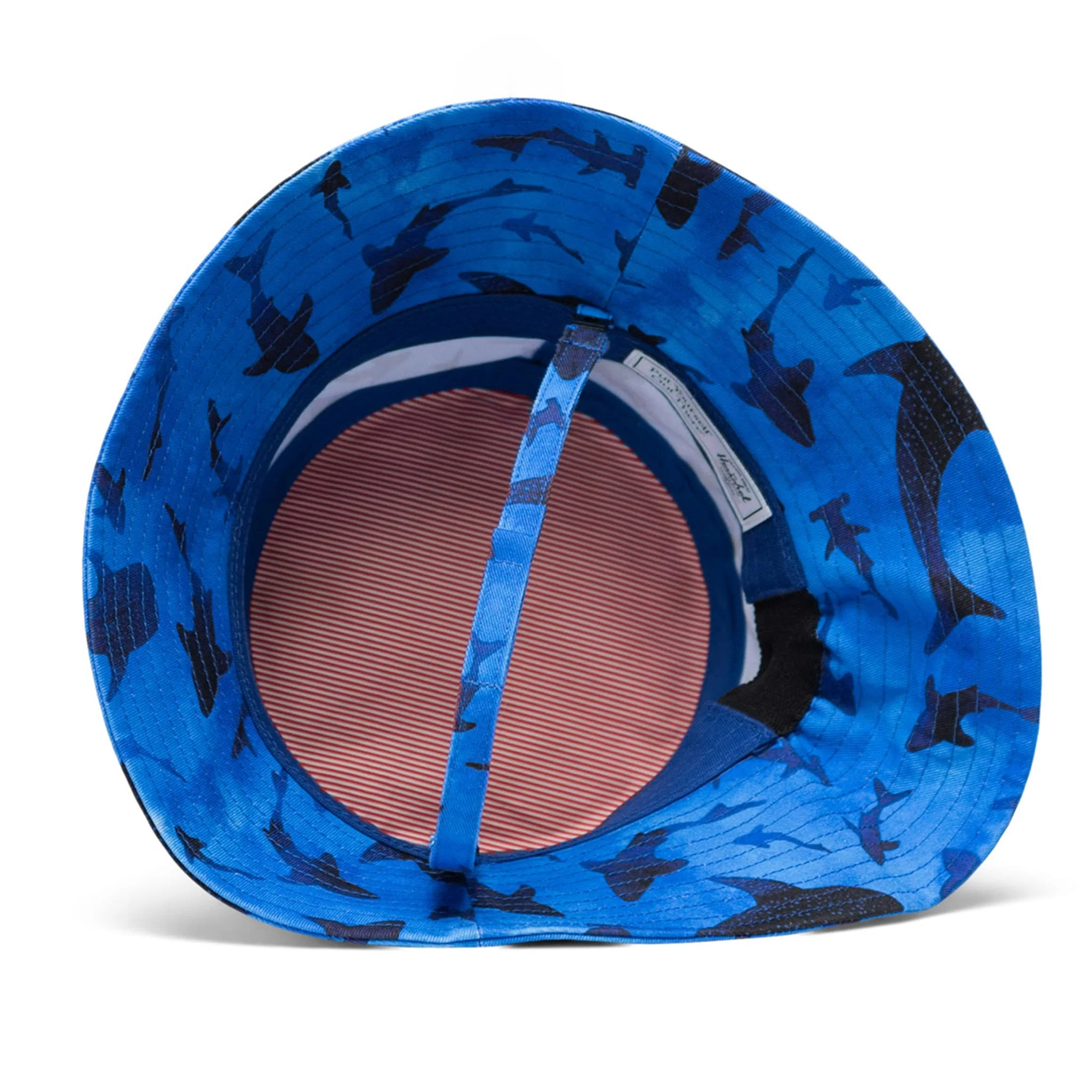 Chapeau 2-4ans - Requins - Image 2