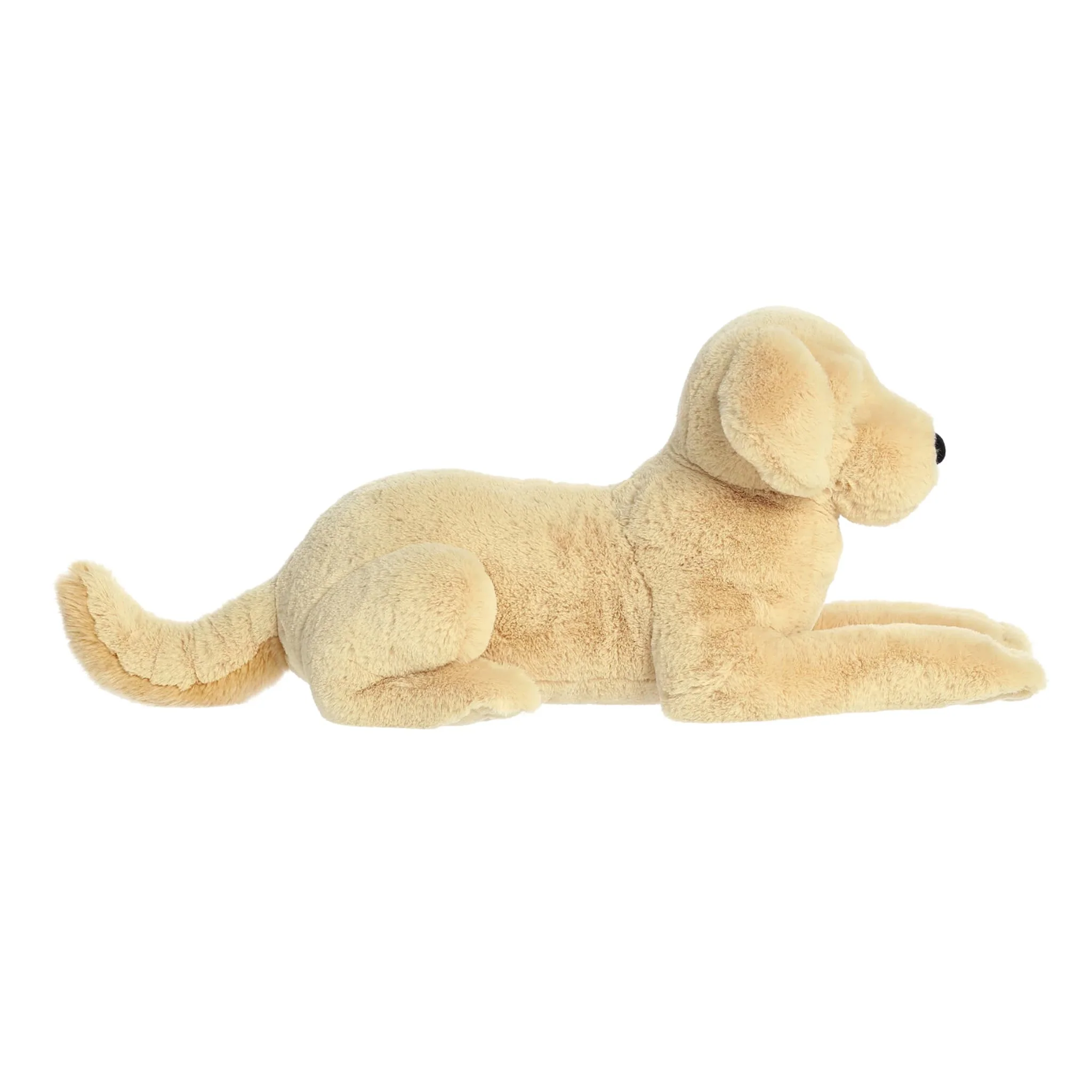 Chien Cooper 25'' - Image 2