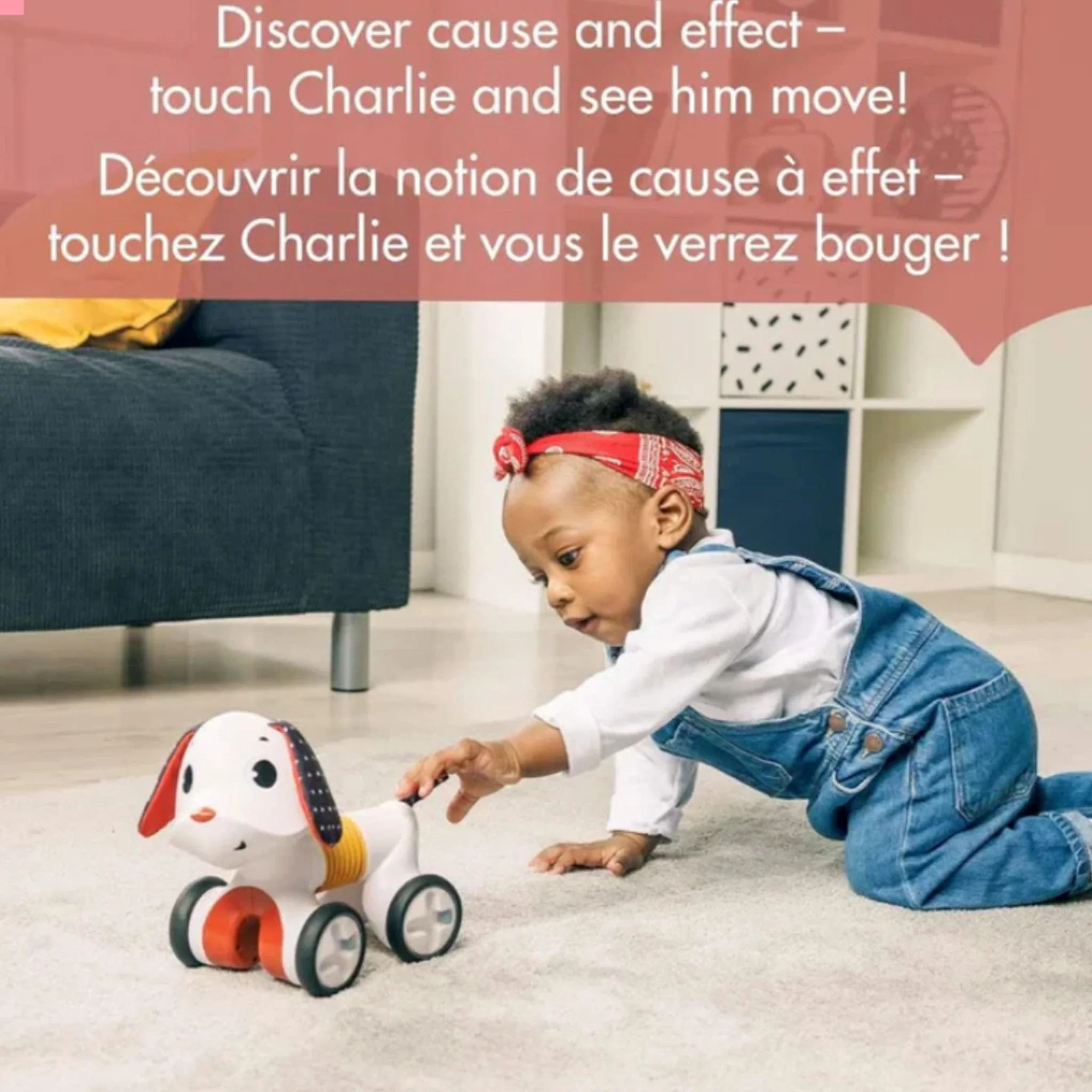 Chien Musical/Rotatif Tiny Rocker - Image 4