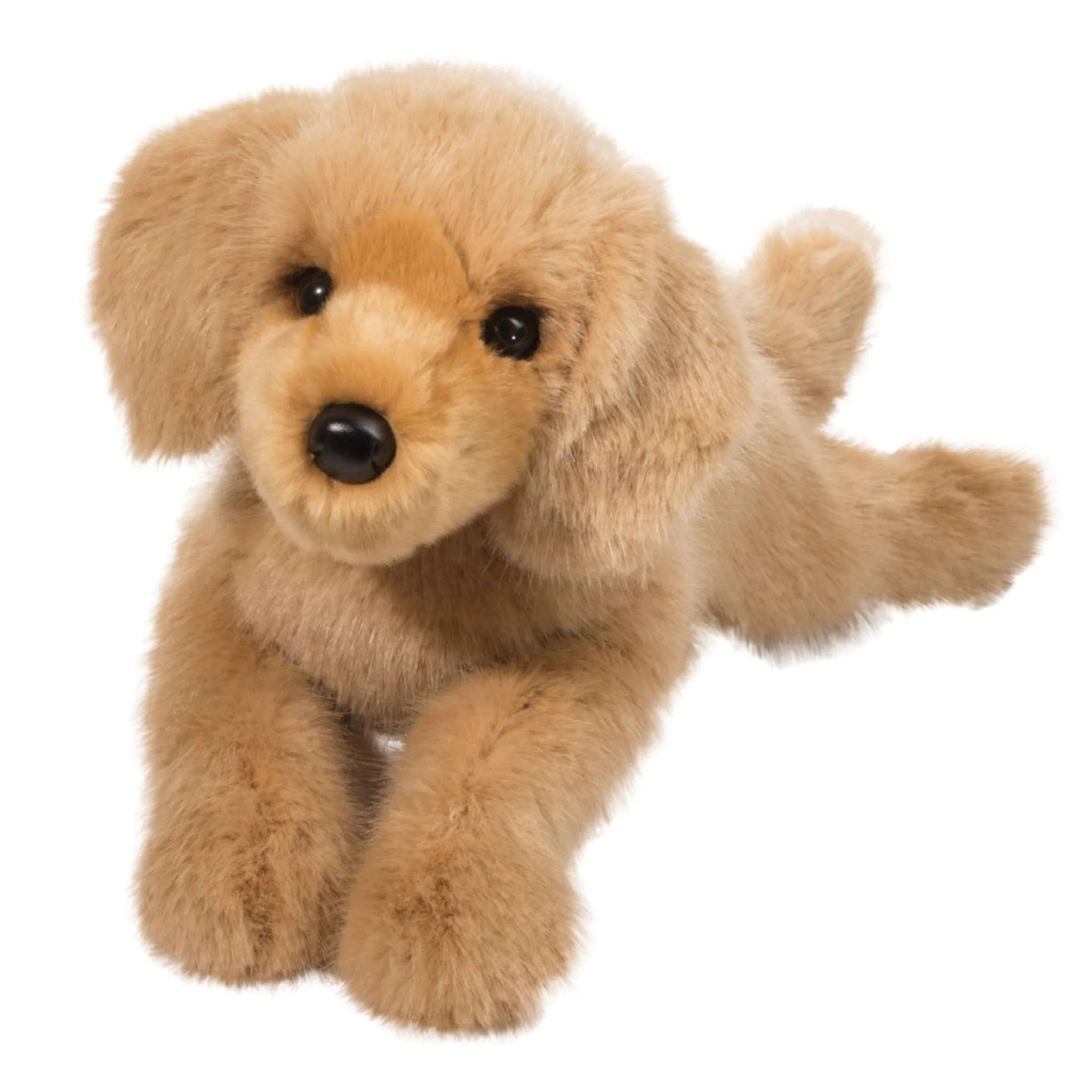 Chien Golden Retriever - Oakley