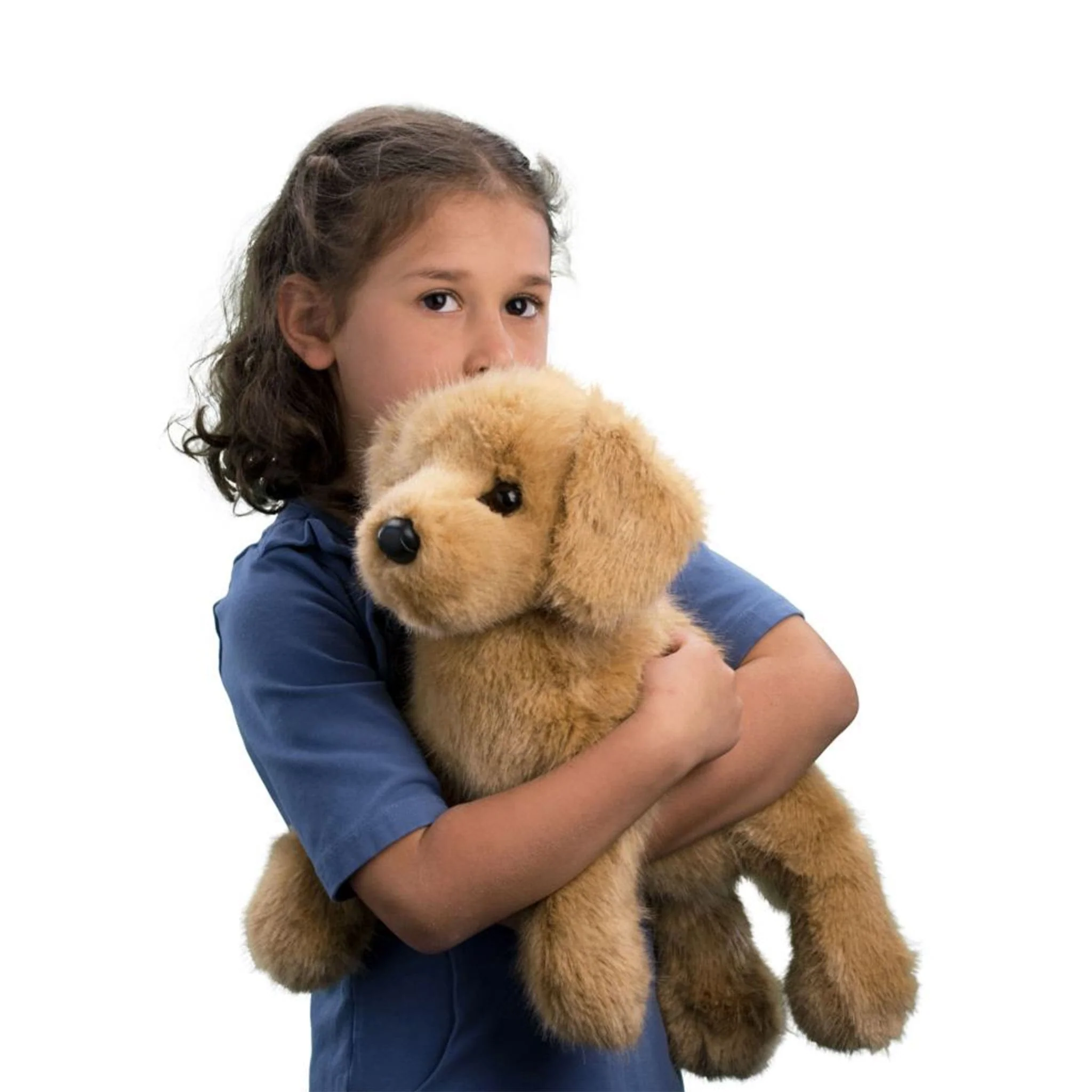 Chien Golden Retriever - Oakley - Image 2