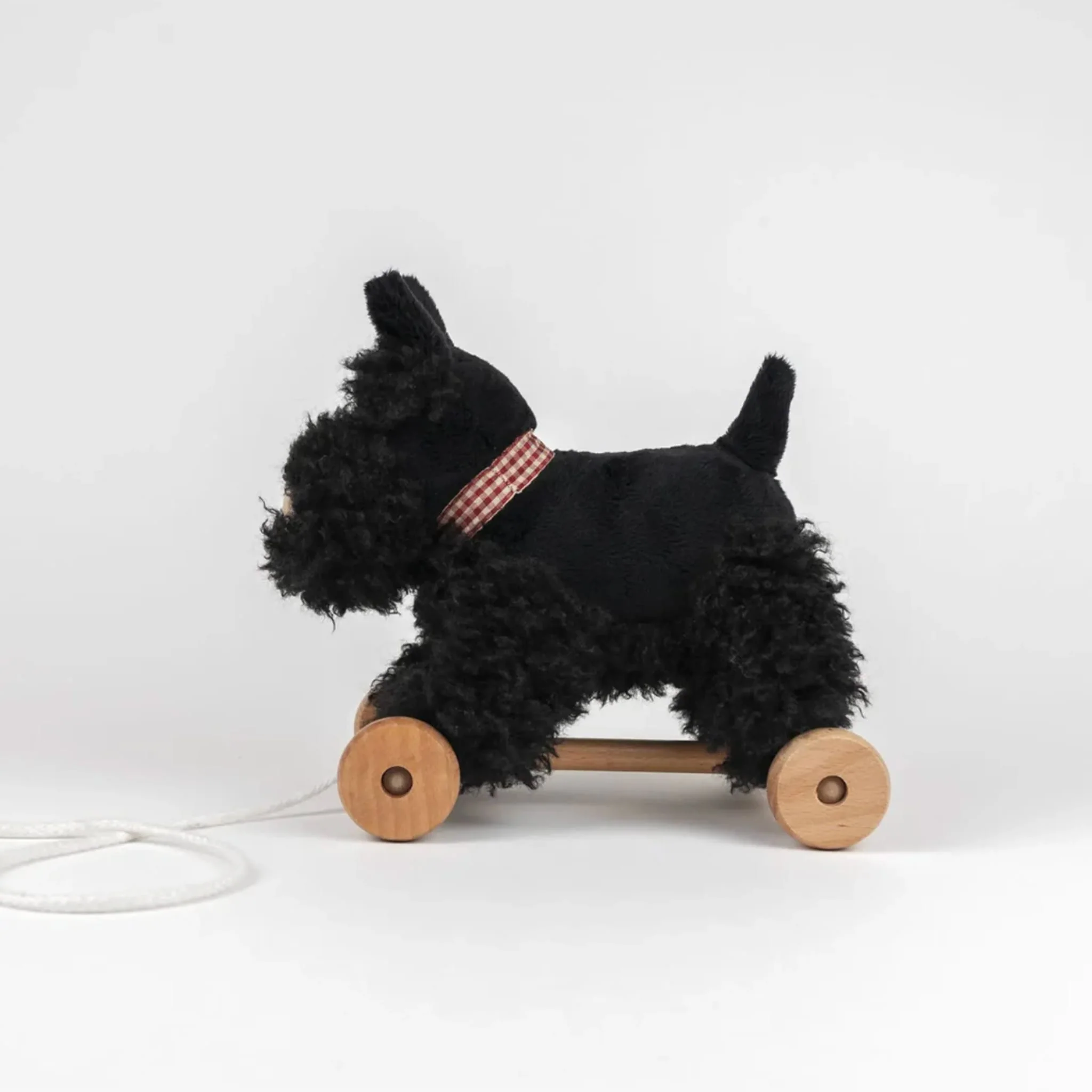 Chien Walter à Tirer - Image 3