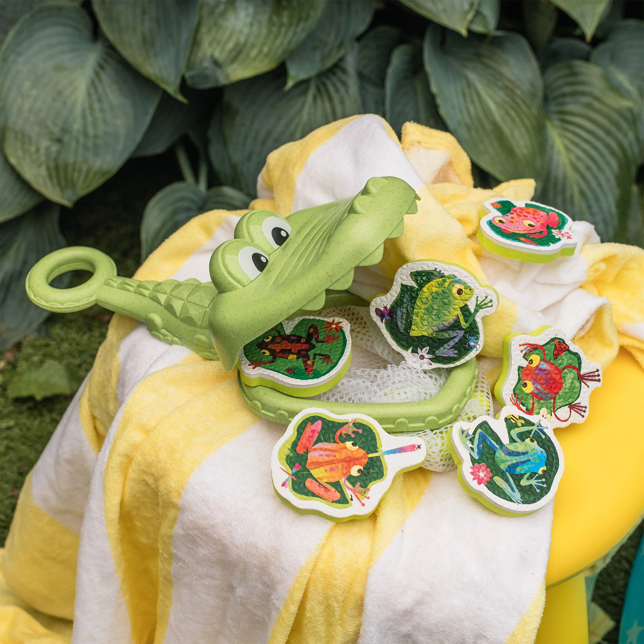Croc Chasey Attrape Grenouille - Image 5