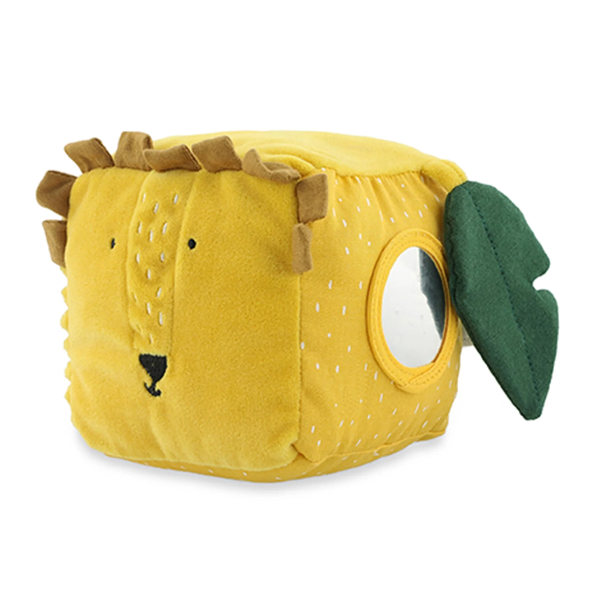 Cube D'activité Mr Lion