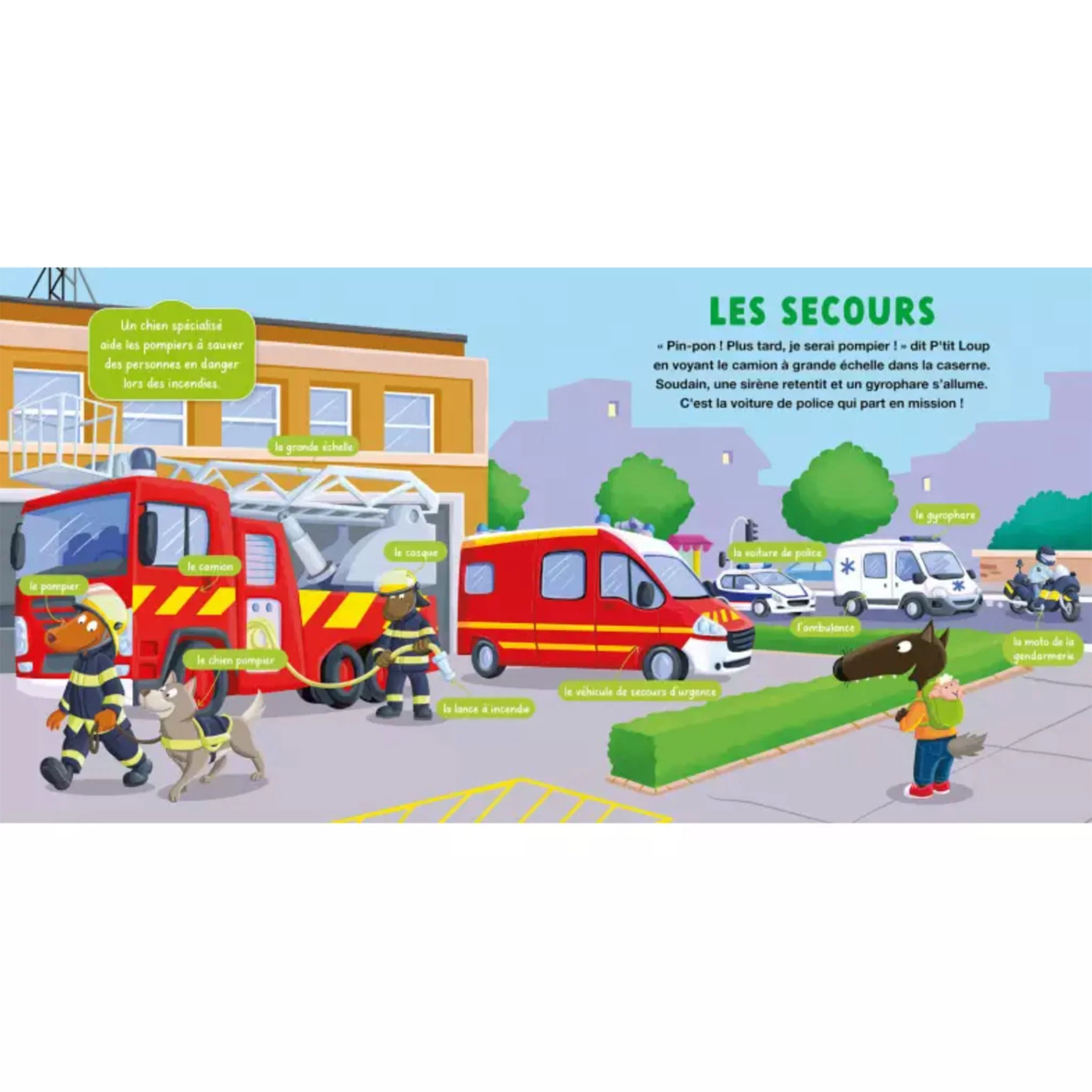 Mon Doc P'tit Loup - Les Véhicules - Image 3