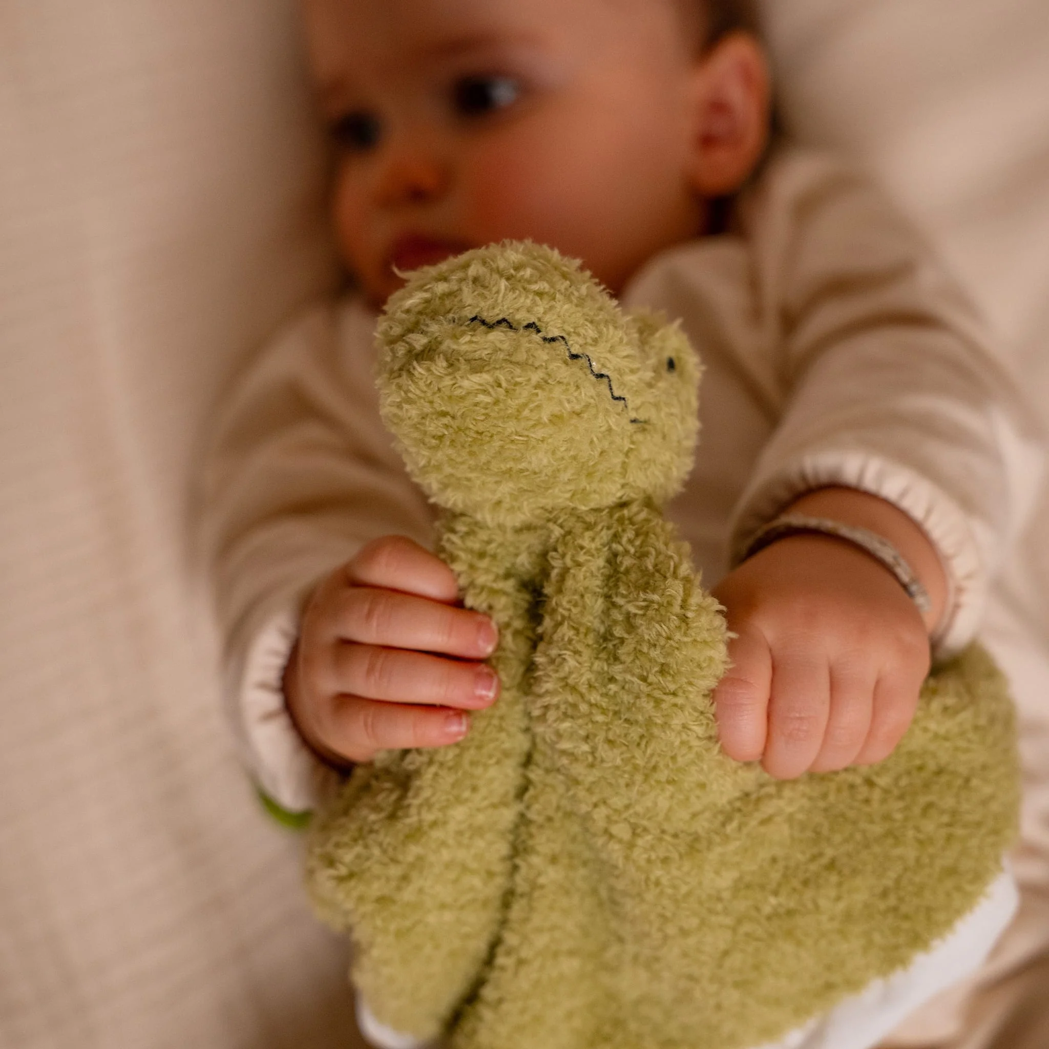 Doudou Rex Le Tyrannosaure - Image 3
