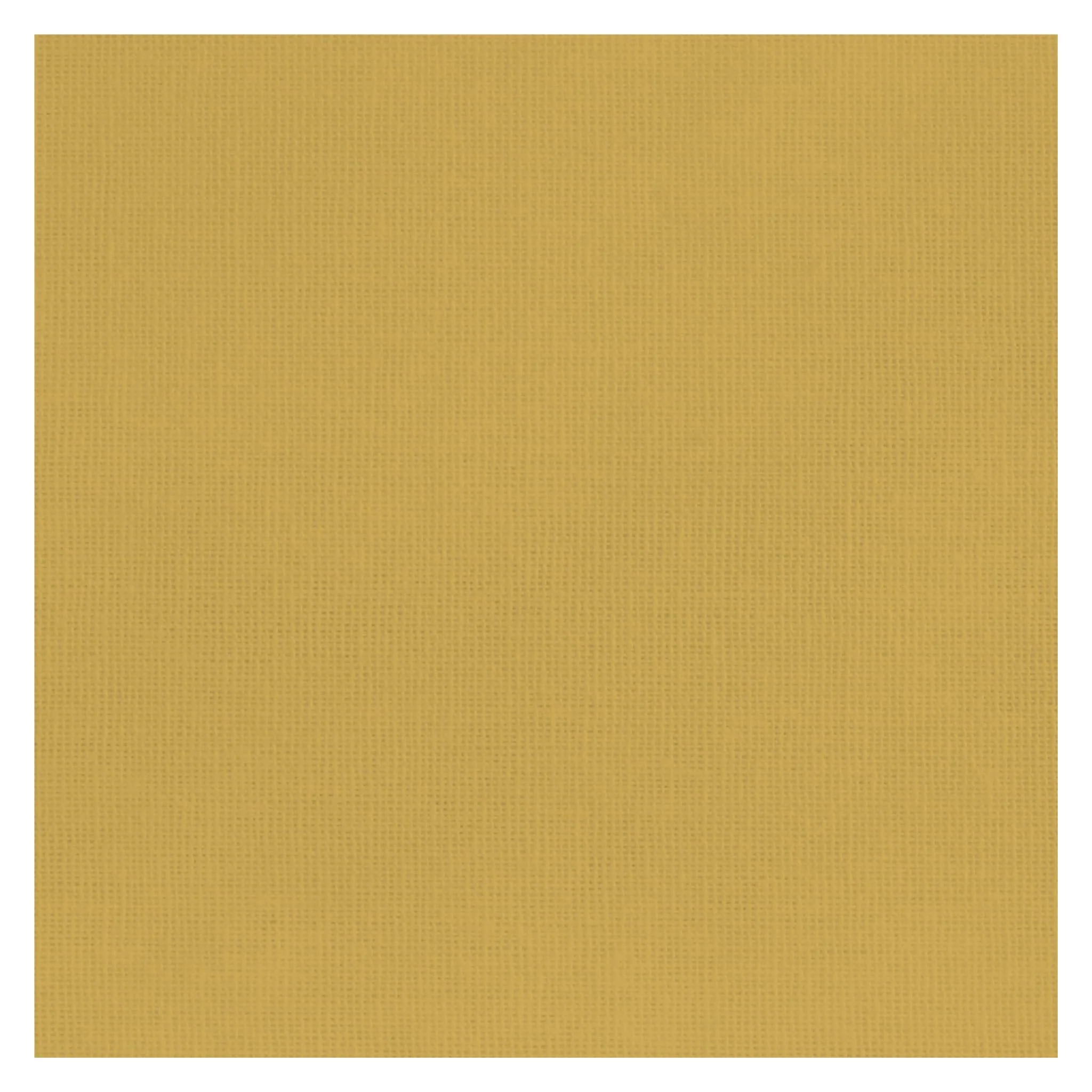 Ăchelle de Croissance FR - Ocre - Image 4