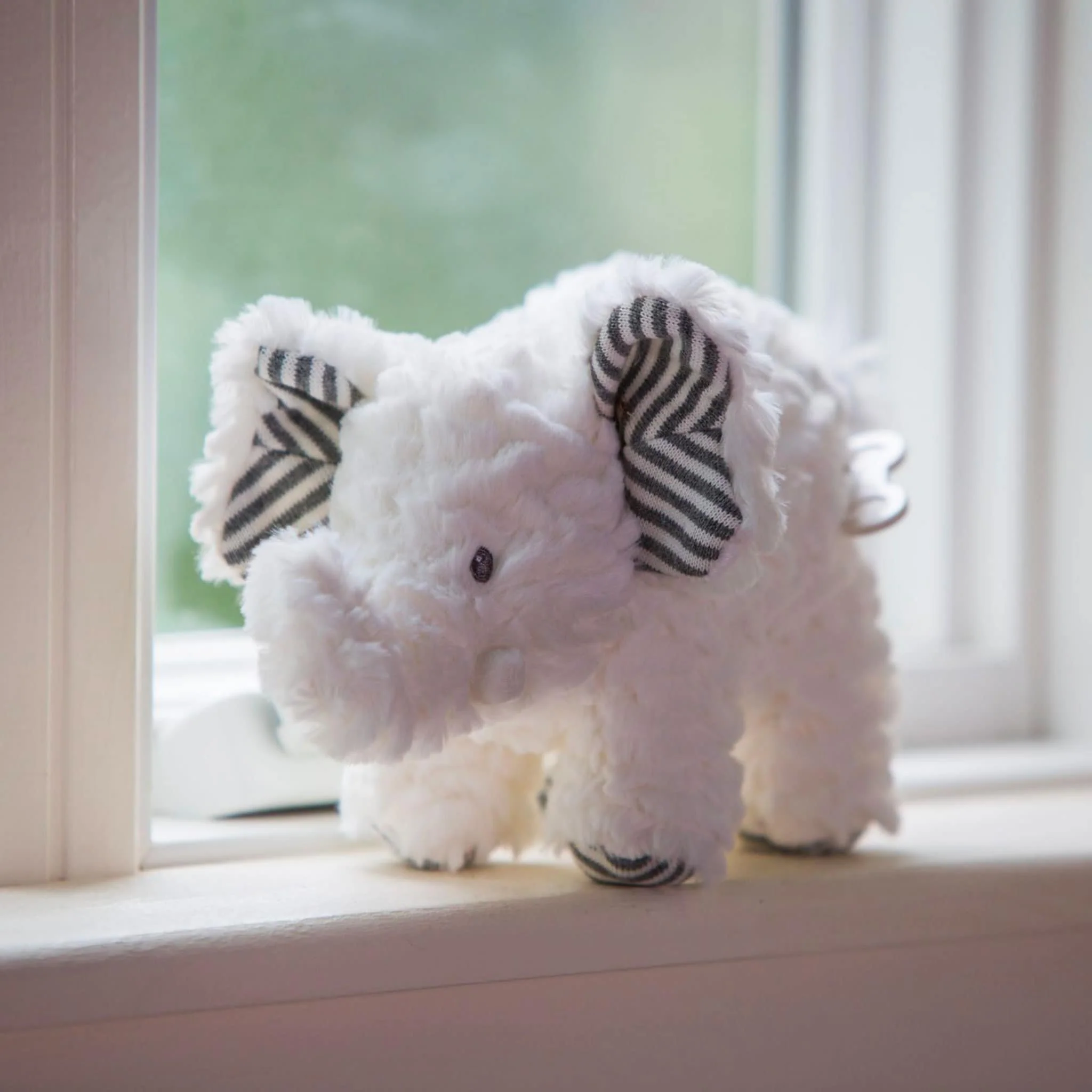 Éléphant Musicale - Image 2