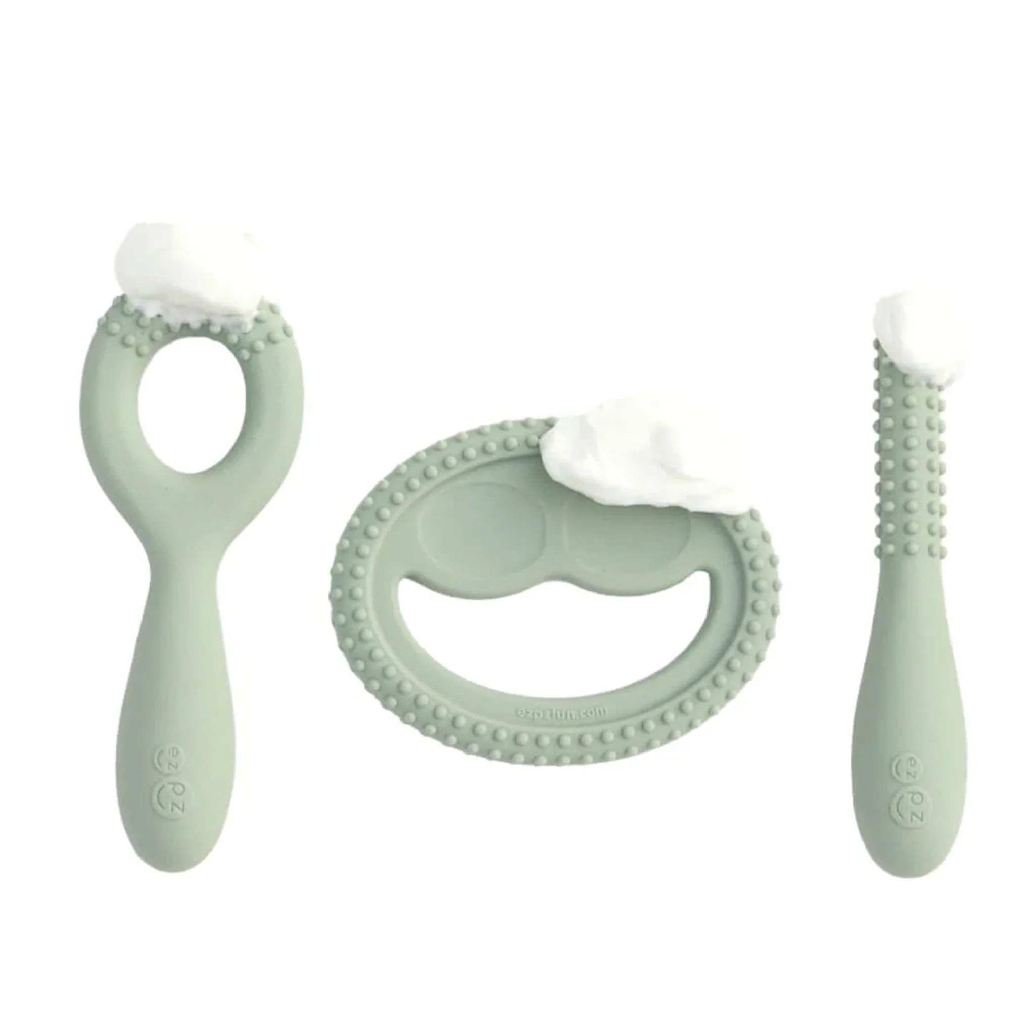 Ensemble Développement de Dentition - Sauge - Image 2