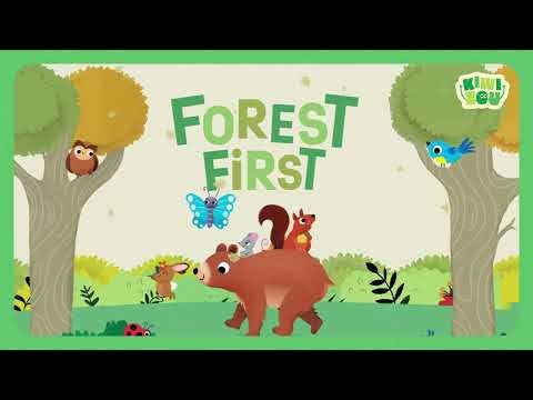 Forest First - Image 5