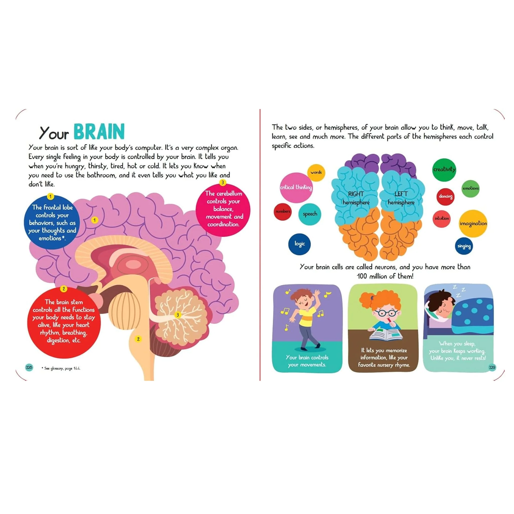 Junior Encyclopedia Of Human Body - Image 2