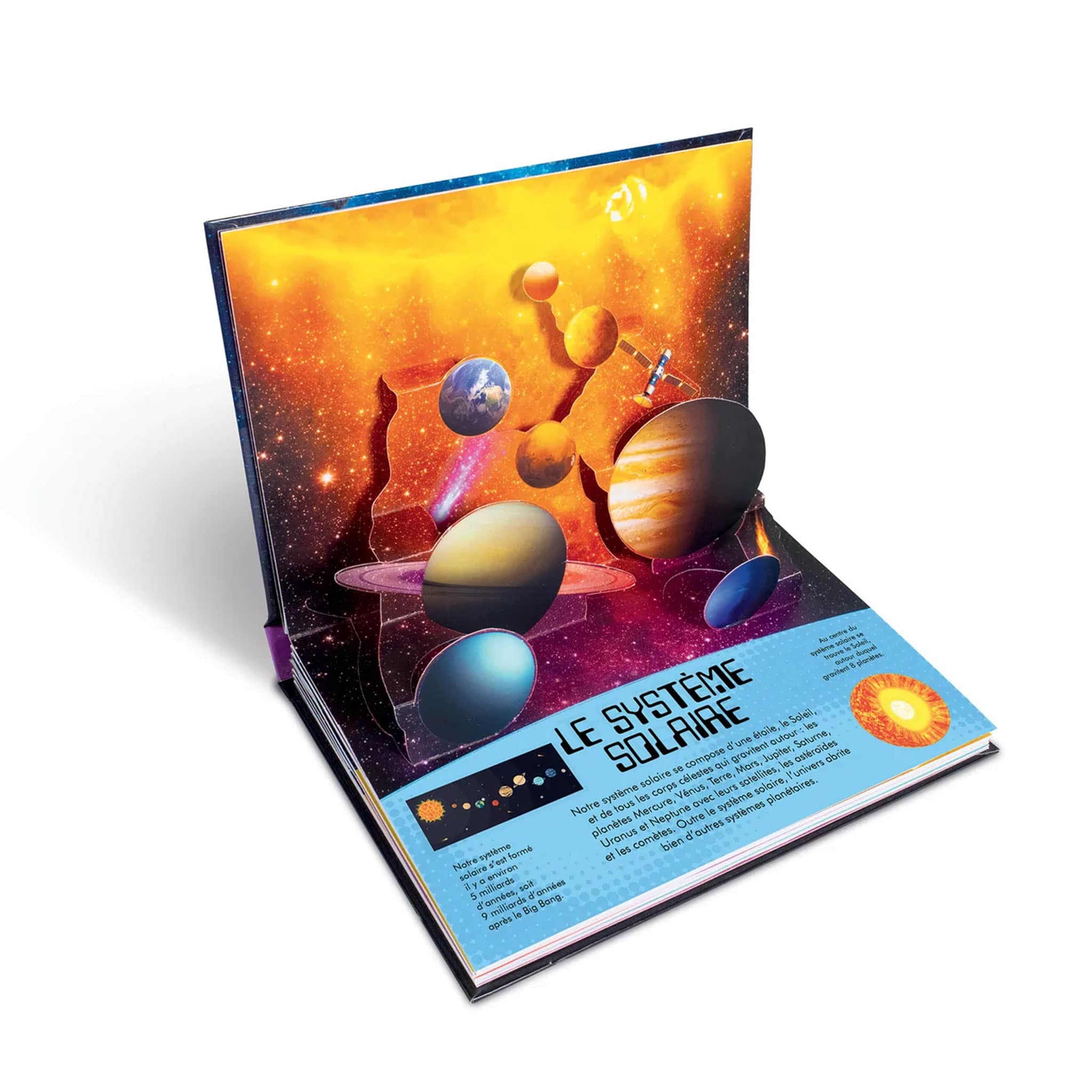 Univers - La nature en pop-up! - Image 2