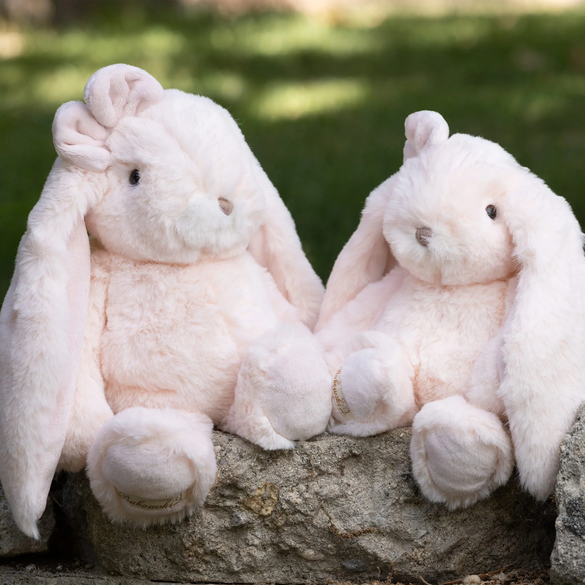 Lapin Kanina - Rose Voilée - Image 3