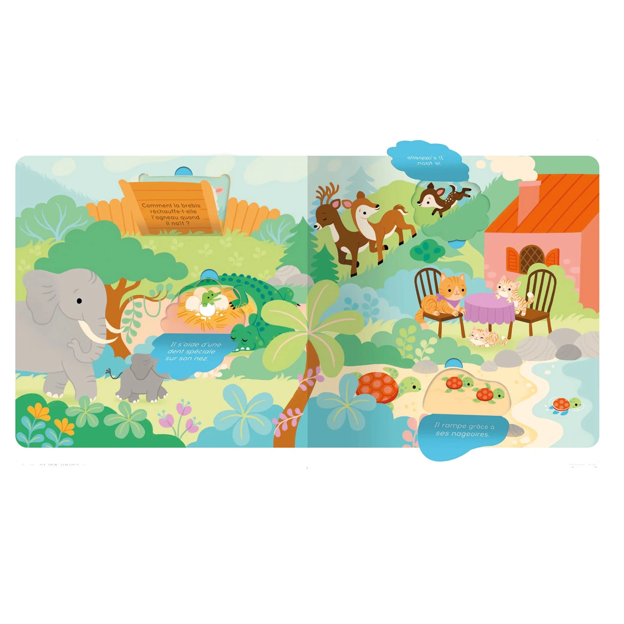 P'tit Touche à Tout - Les Bébés Animaux - Image 2