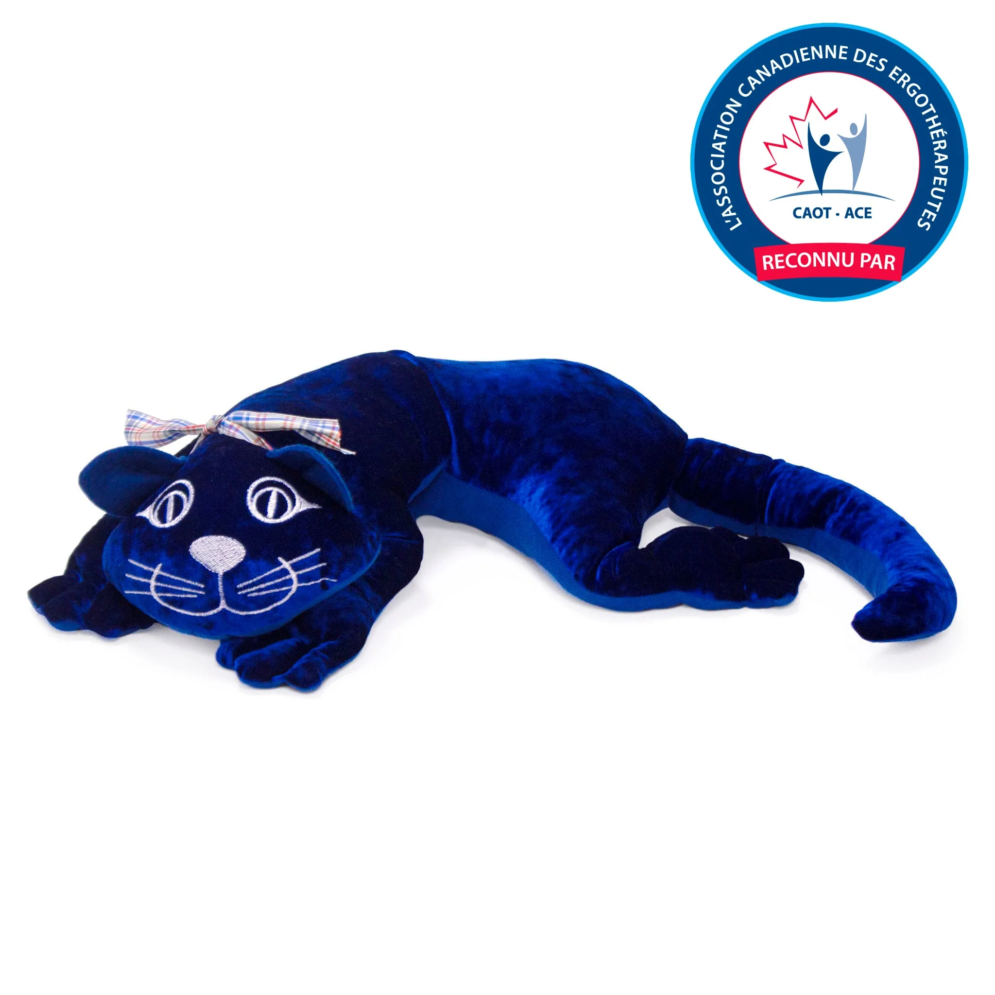 Manimo Chat Lourd 2kg - Bleu - Image 7