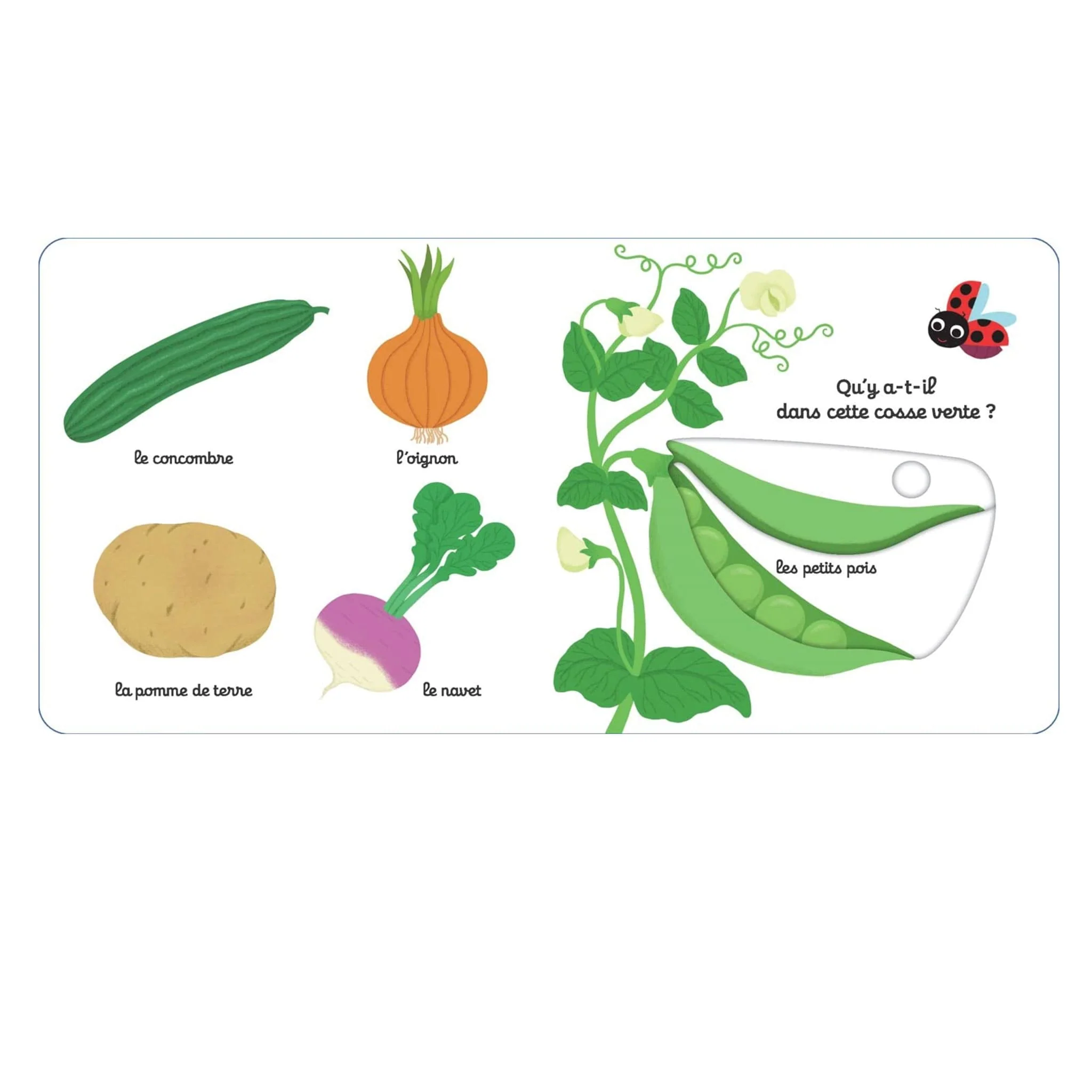 Mon Imagier des Légumes - Image 3
