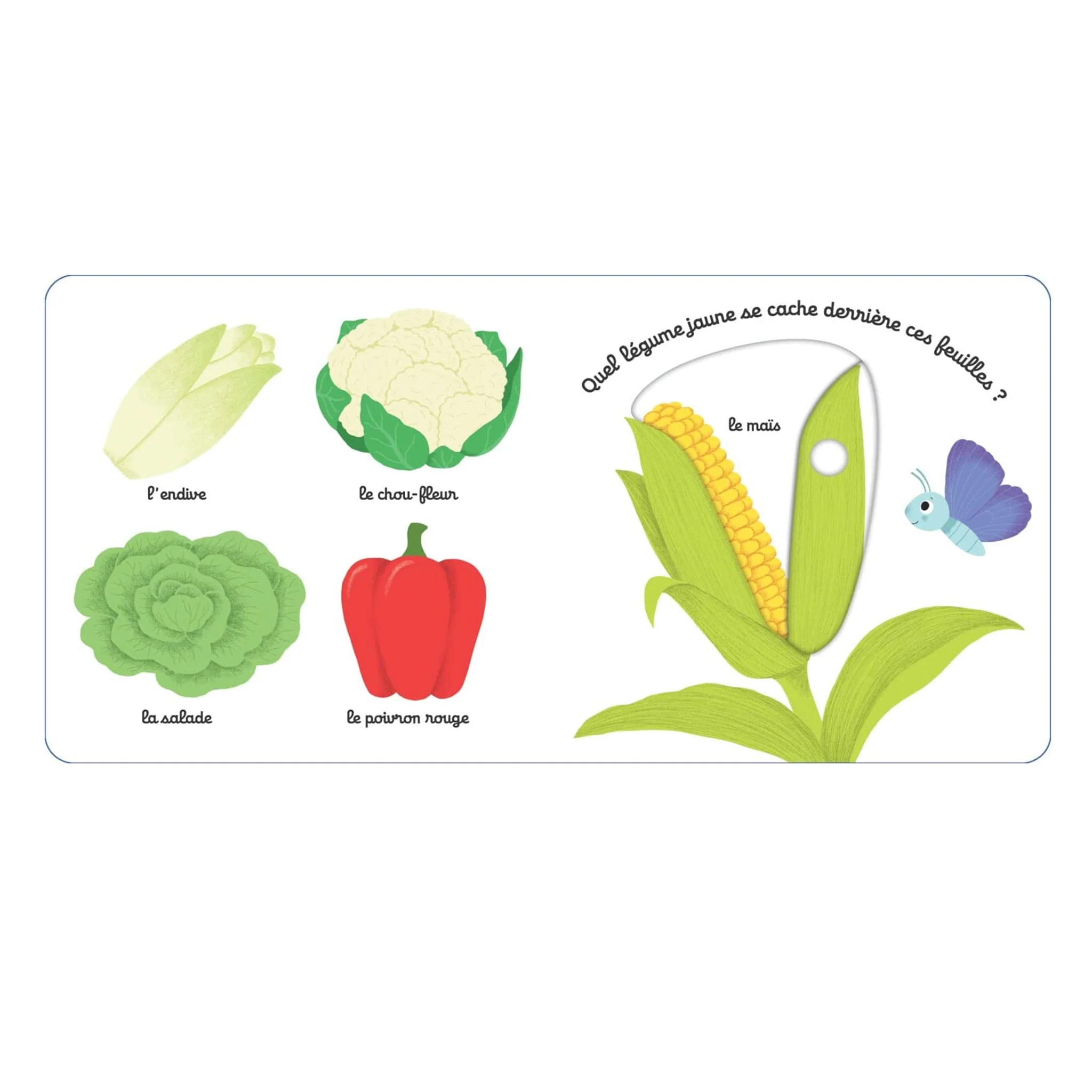 Mon Imagier des Légumes - Image 4