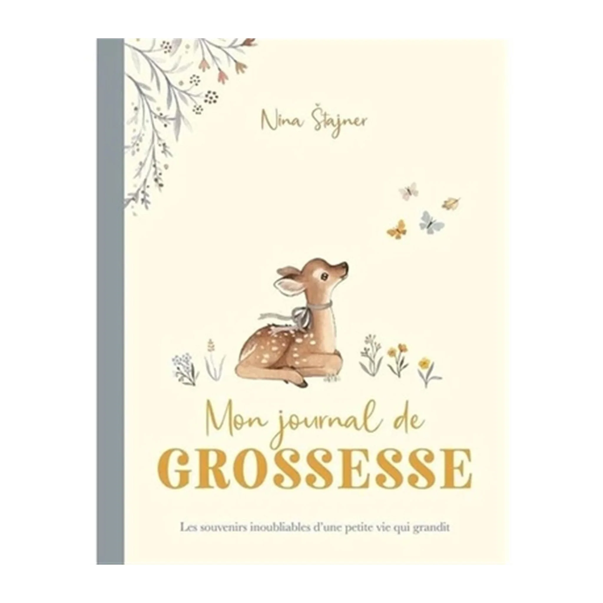 Mon Journal De Grossesse