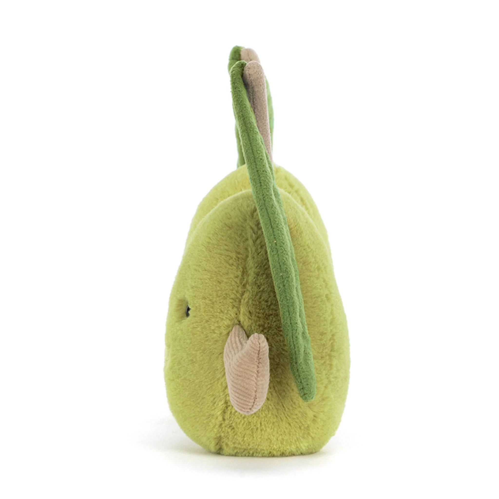 Olive - Image 5