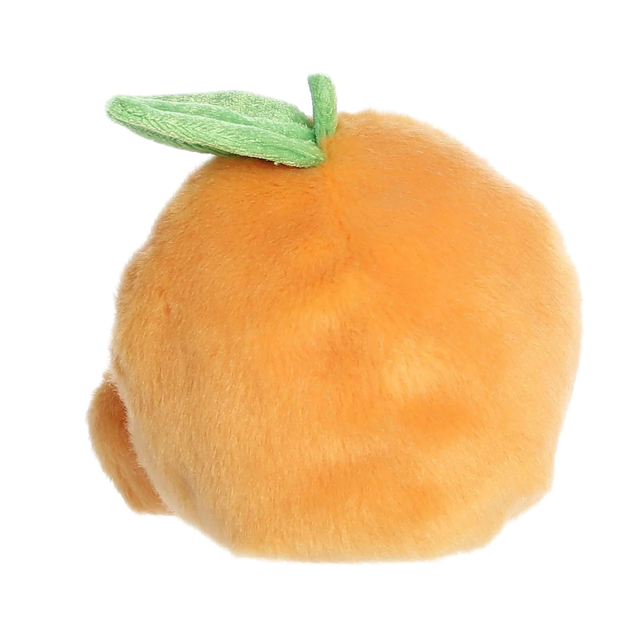 Orange Tangie - Image 3