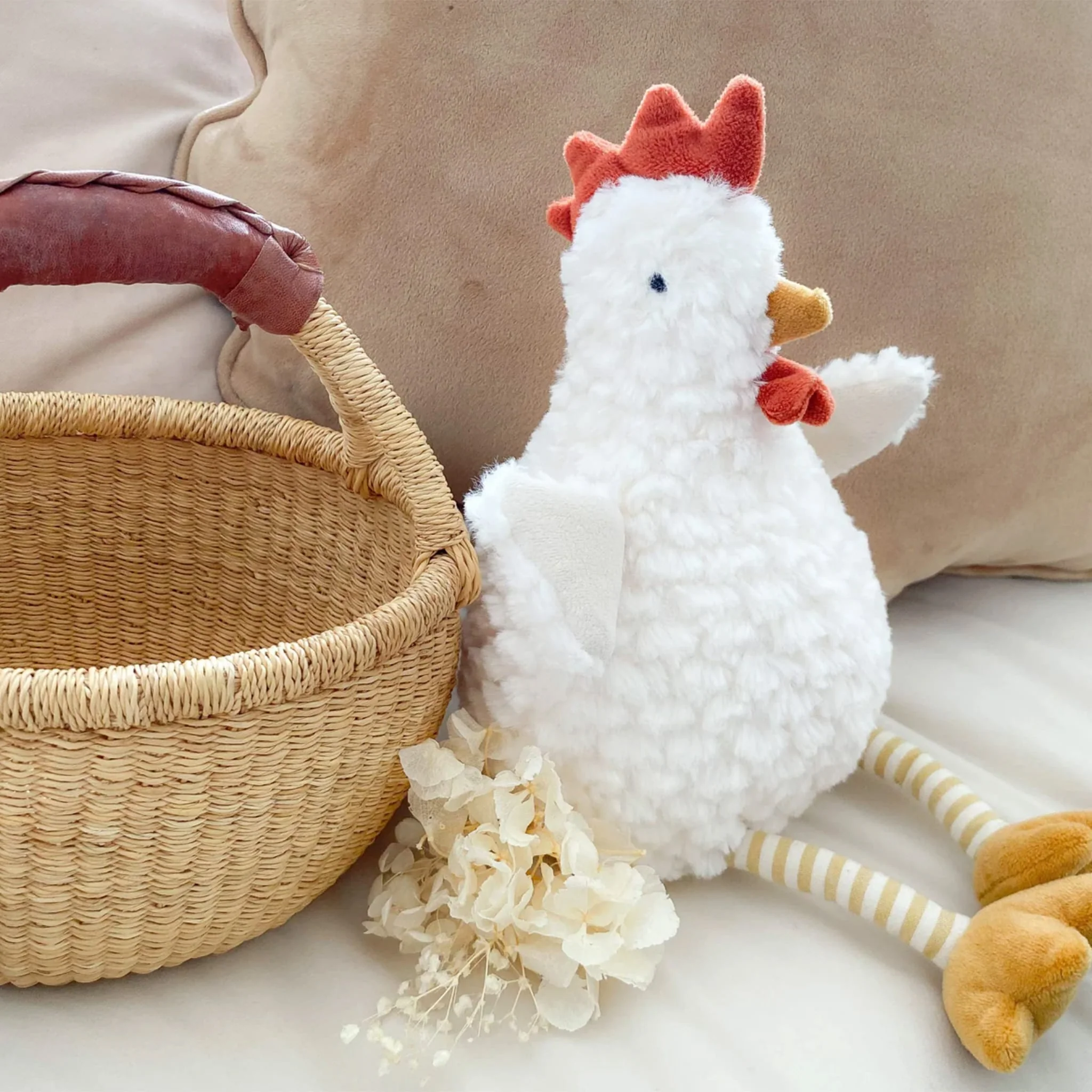 Poule Dixie - Image 2