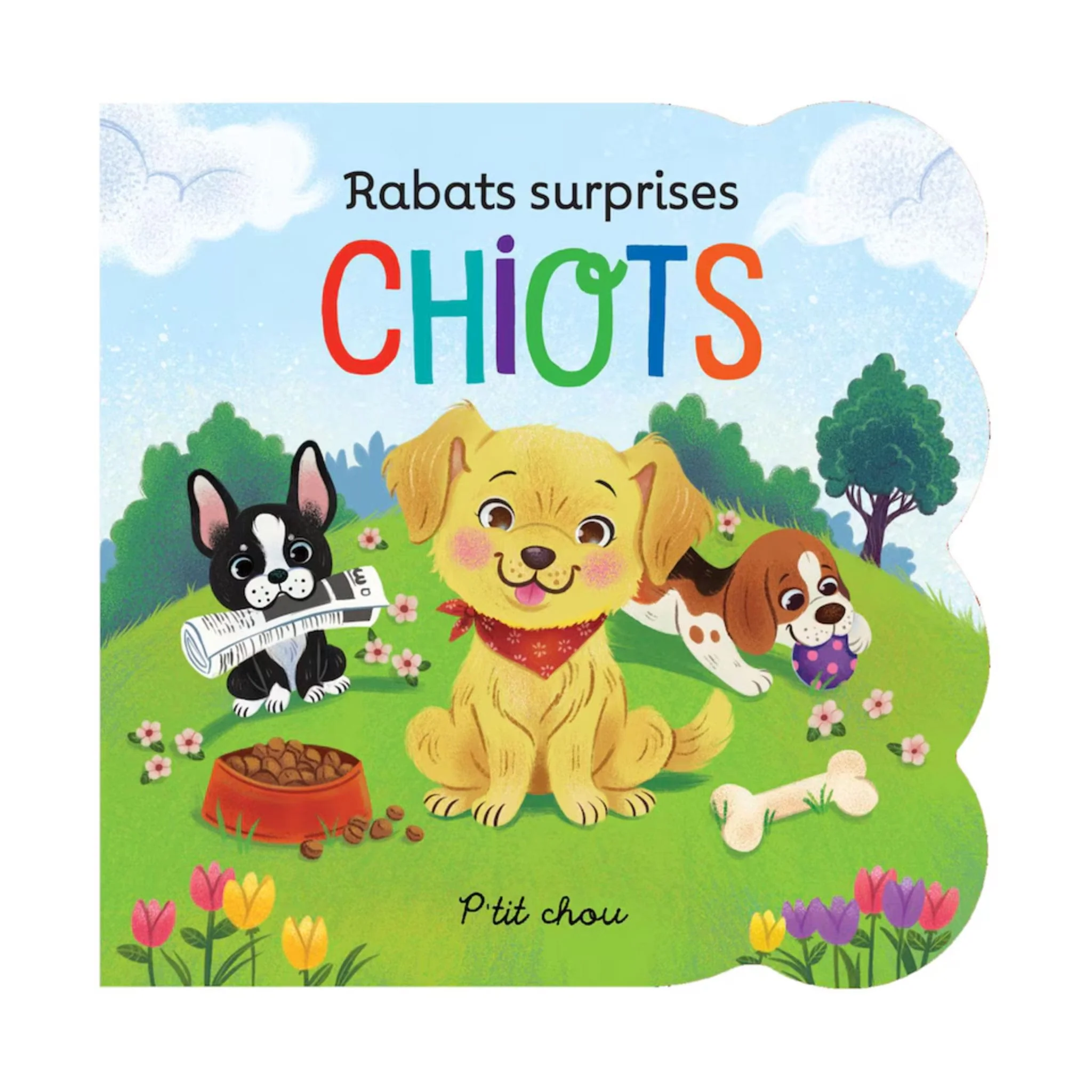 Rabats Surprises - Chiots