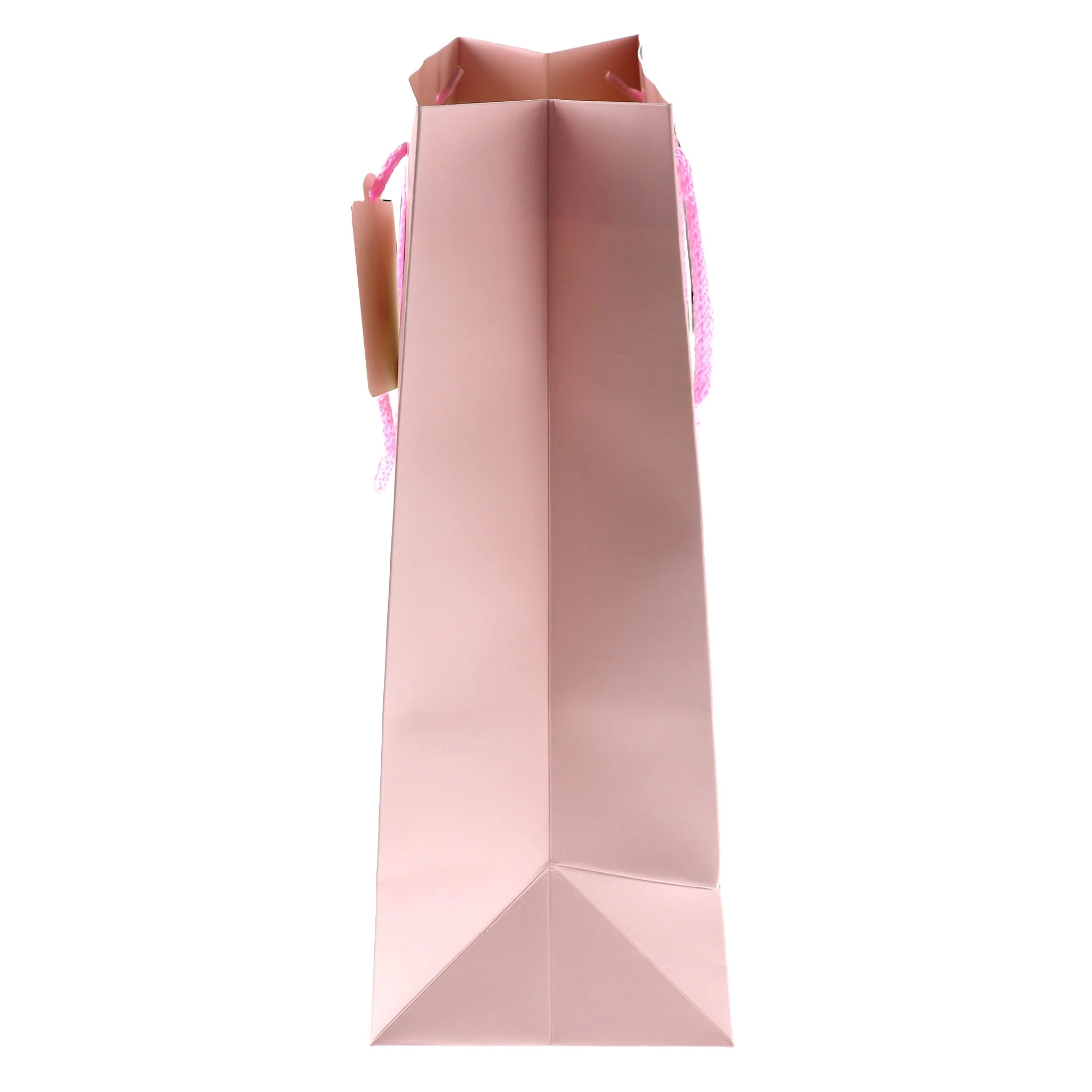 Sac Cadeau Lama Rose - Image 4