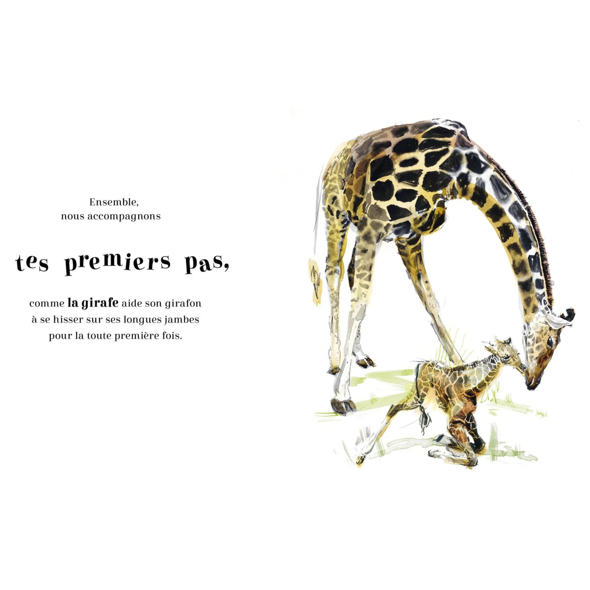 Toujours Ensemble - Image 2
