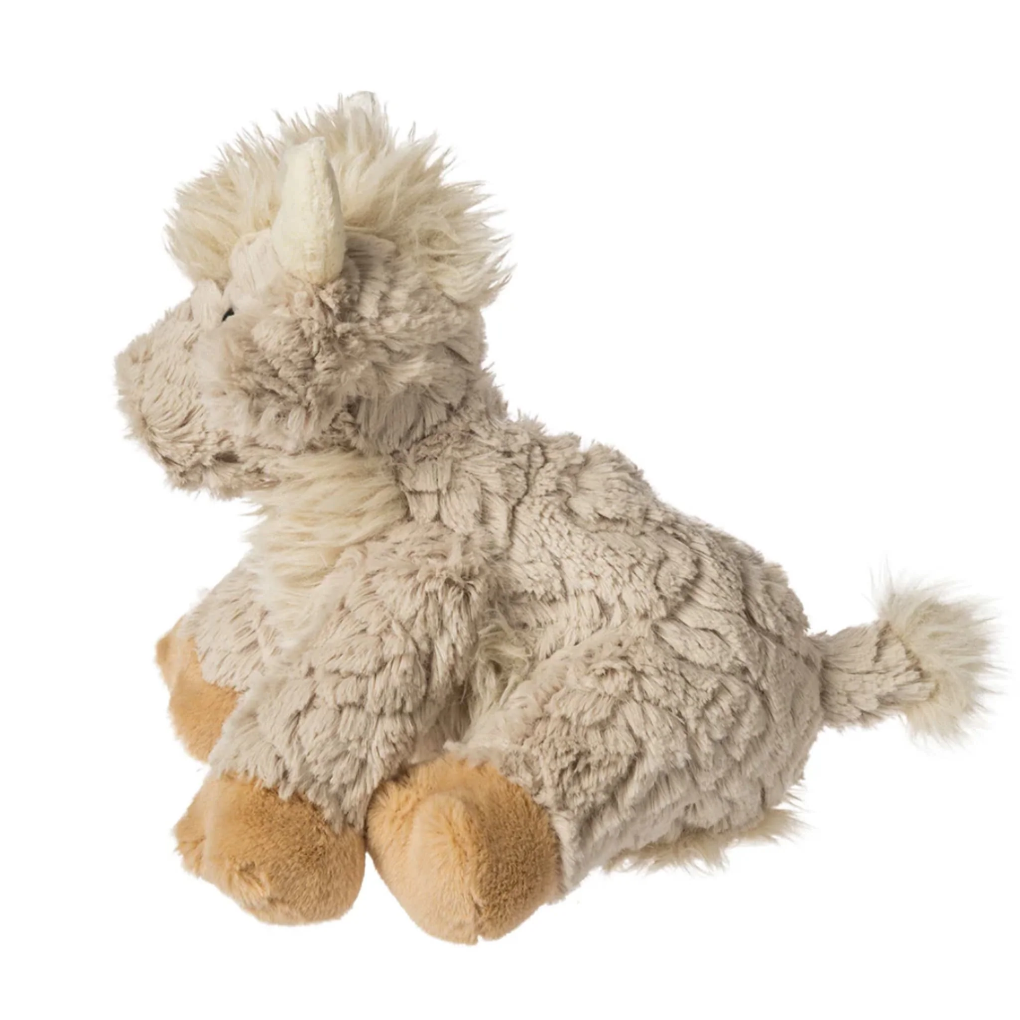 Vache Highland - Image 2